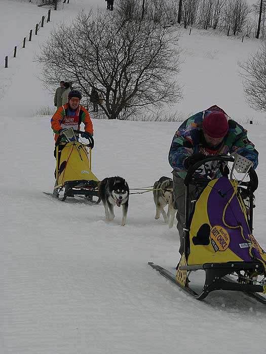 2003 schlittenhunde040.jpg